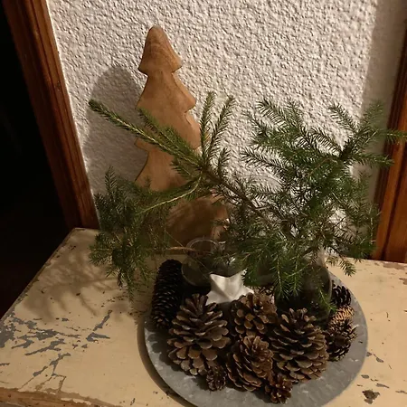 4 Elements Appartmenthaus Monarda Flachau