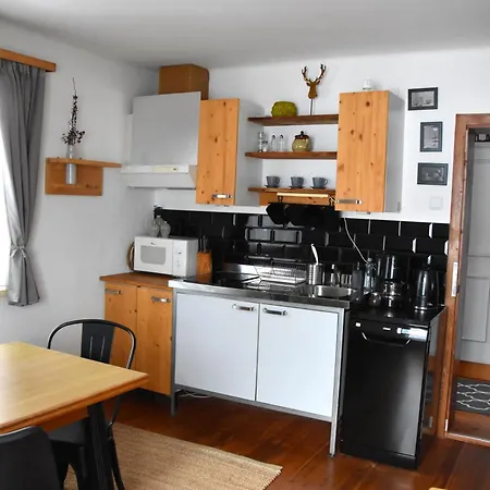 4 Elements Appartmenthaus Monarda * Flachau