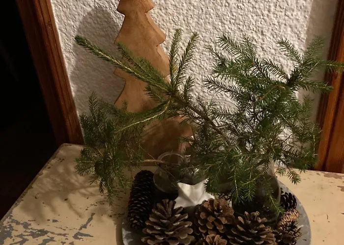 4 Elements Appartmenthaus Monarda Flachau